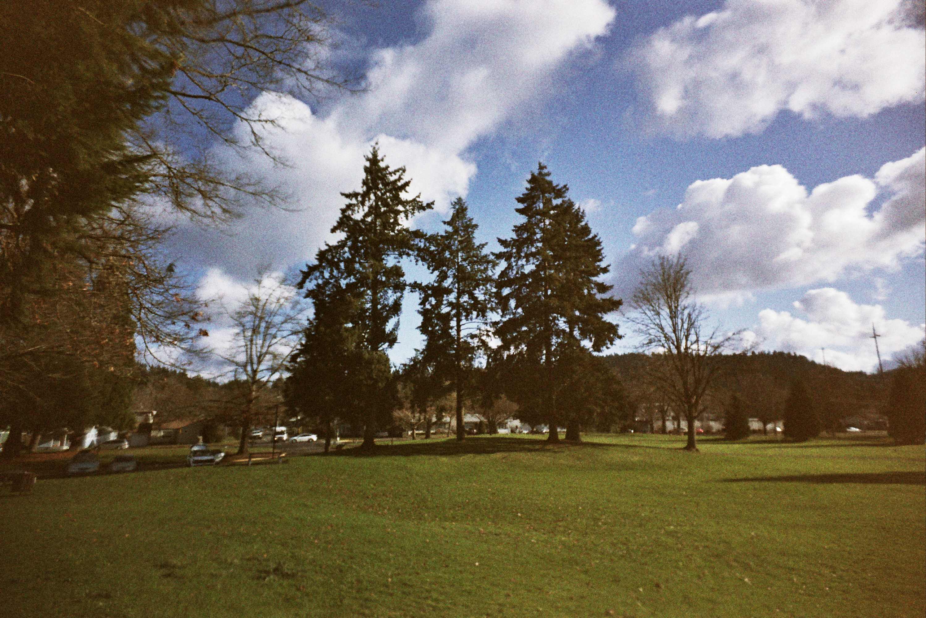 Analog photo 3